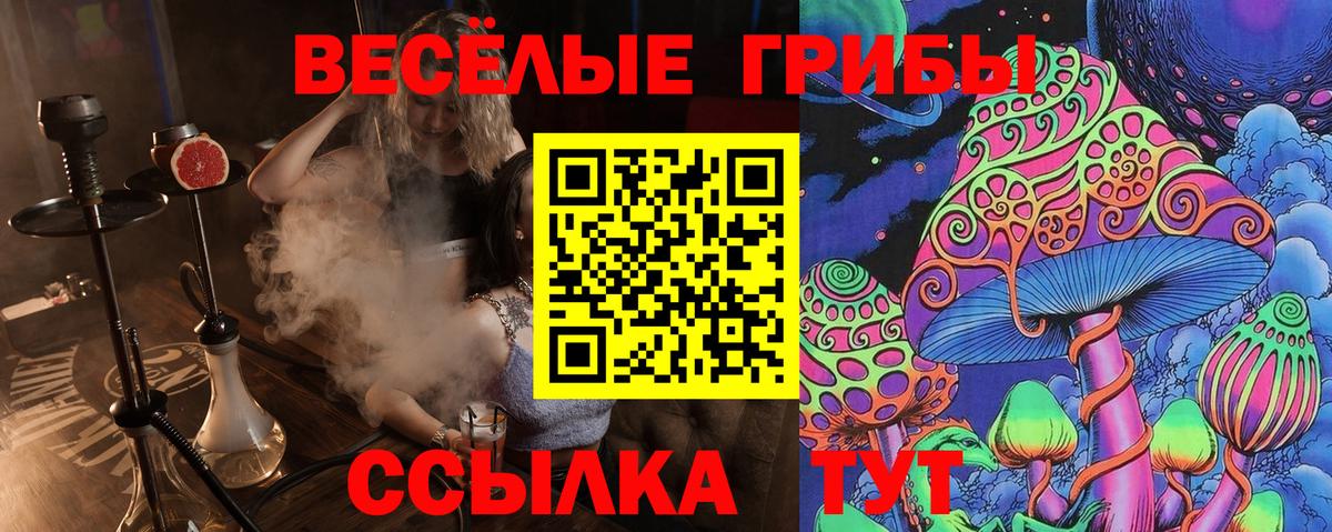 Псилоцибиновые грибы MAGIC MUSHROOMS  Псилоцибиновые грибы ЛСД  Вход с VPN  Вышний Волочёк 